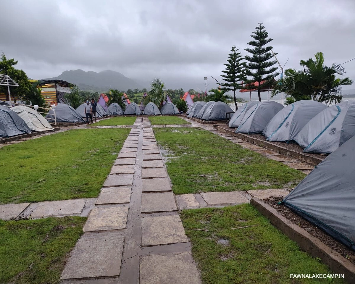 Tent Camping (2)